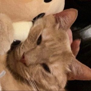 Meet your Posher, Nina